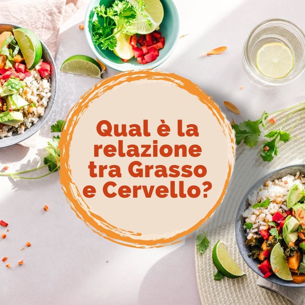 Qual è la relazione tra Grasso e Cervello?